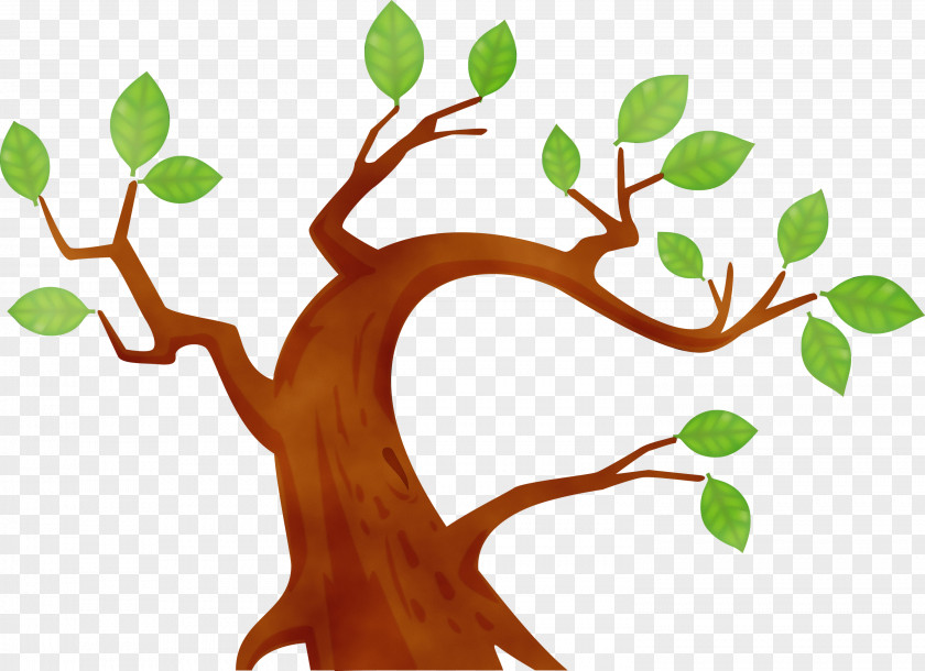 Branch Tree Plant Leaf Woody PNG