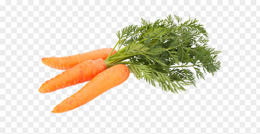 Carrot Vegetable Food Stock Photography Shutterstock PNG