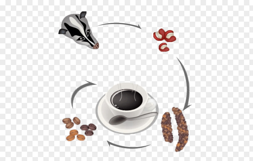 Cat Feces Coffee Formation Drawing Iced Kopi Luwak Cafe PNG