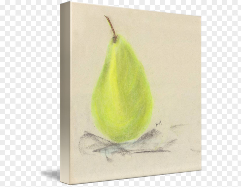 Pear Still Life Photography Drawing PNG