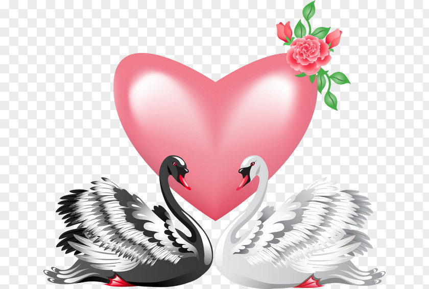 Swan Couple Black Royalty-free Clip Art PNG