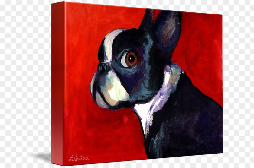 Boston Terrier Bull Dog Breed Painting PNG