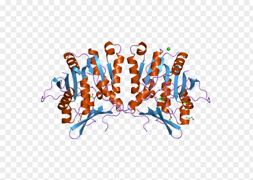 Glycine N-methyltransferase GNMT Enzyme Tamen PNG