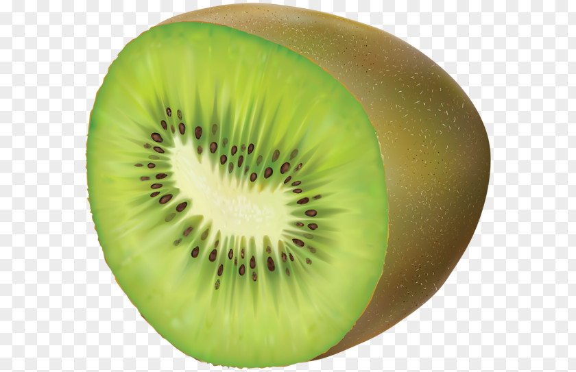 Kiwi Kiwifruit Clip Art PNG