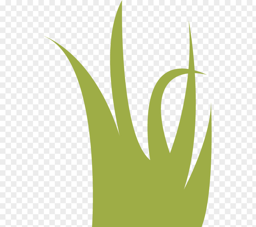 Lake Clipart Leaf Logo Grasses PNG