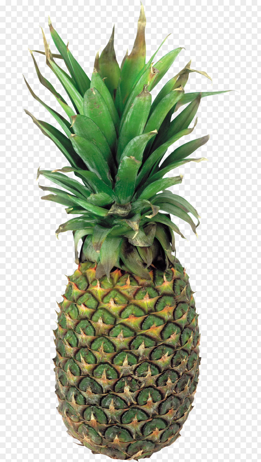 Pineapple Clip Art Juice Fruit PNG