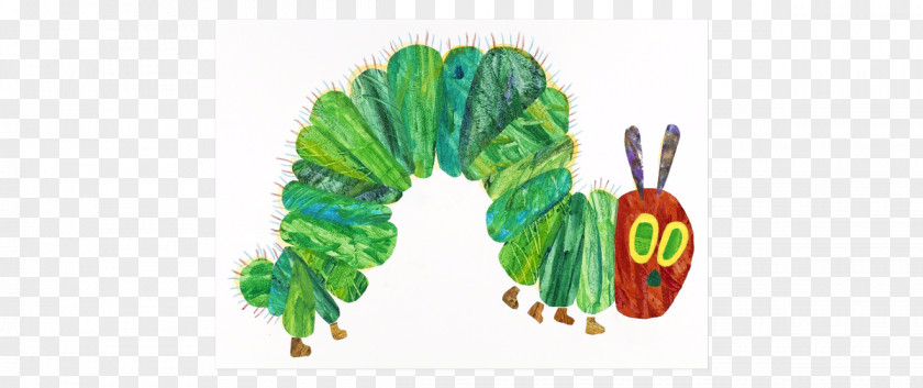 Child Eric Carle Museum Of Picture Book Art The Very Hungry Caterpillar High Brown Bear, What Do You See? PNG