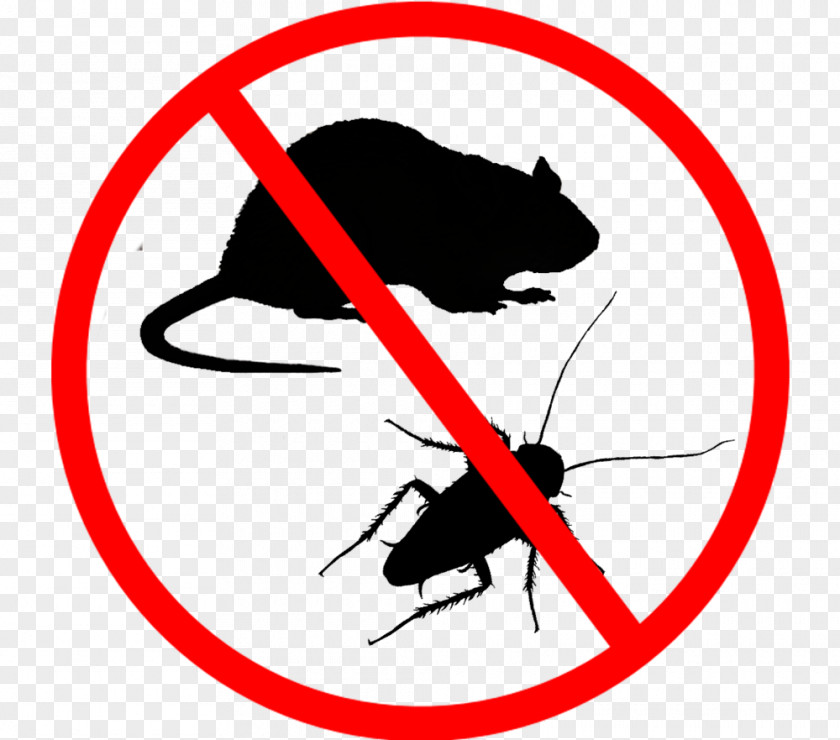 Cockroach Rodent Pest Vermin Van Nuys Clip Art PNG