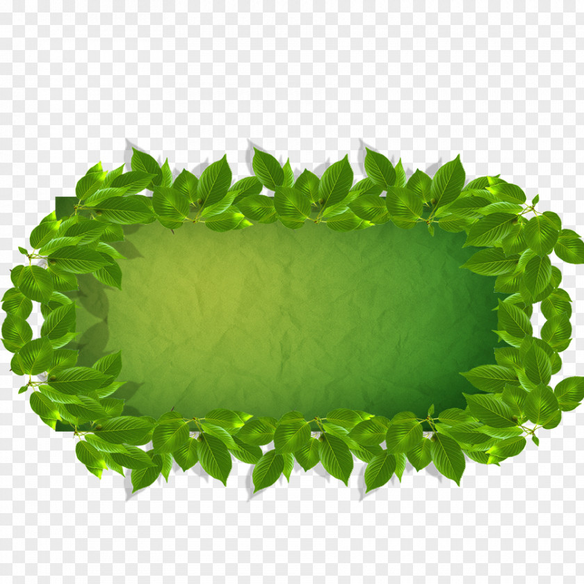 Green Background Adobe Illustrator PNG