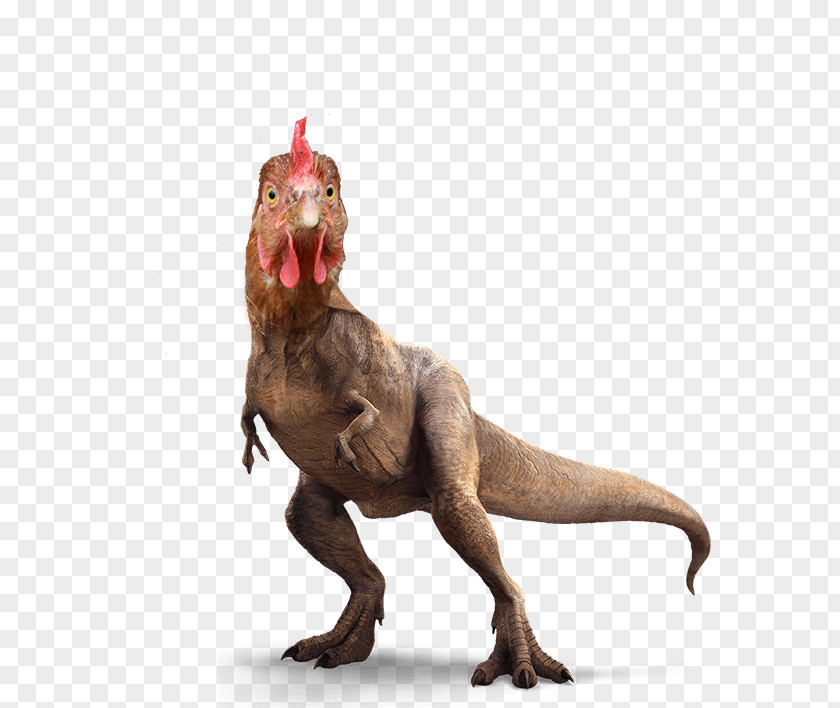 Jurassic Park Tyrannosaurus Velociraptor Triceratops Spinosaurus Ian Malcolm PNG