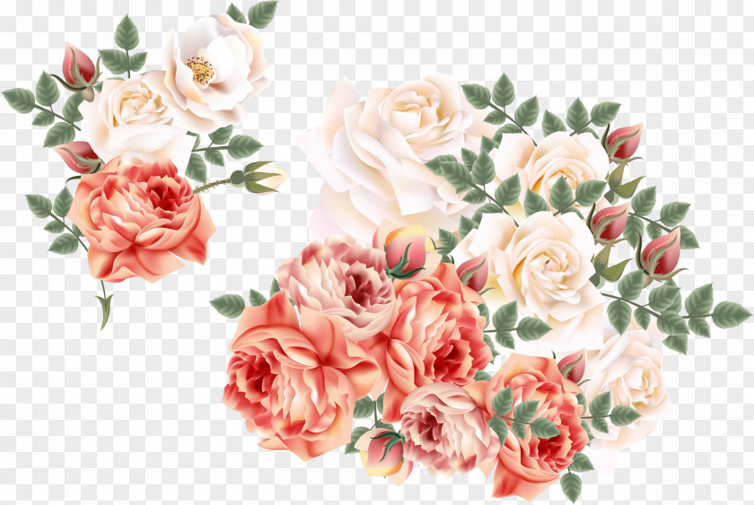 Vector Hand-painted Flowers Garden Roses Centifolia Euclidean Flower PNG