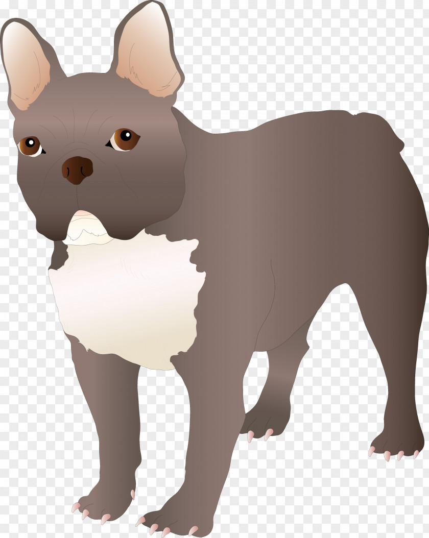 Dog French Bulldog Puppy Breed Non-sporting Group PNG