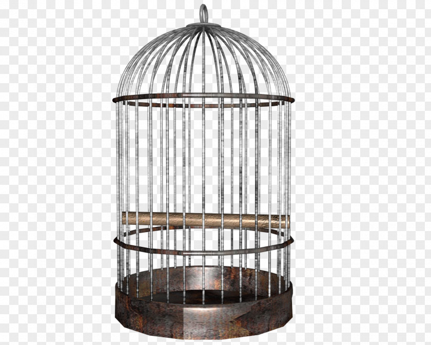 Empty Birdcage Cliparts Parrot Clip Art PNG