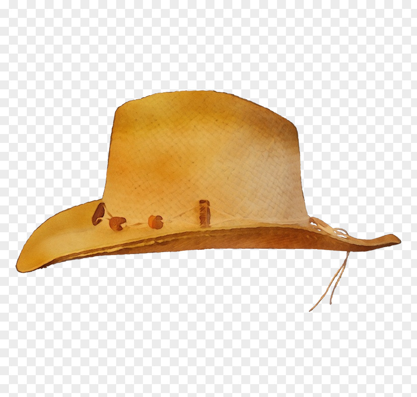 Fedora Cap Cowboy Hat PNG