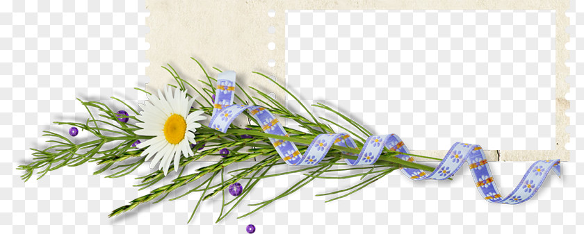 Floral Frame Desktop Wallpaper GIF Image Graphics Photograph PNG