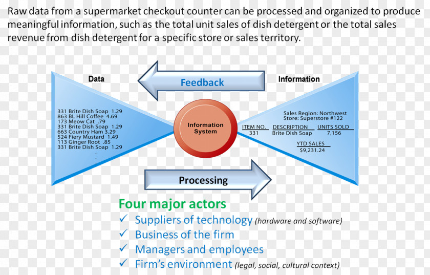 Information System Data Document Organization PNG