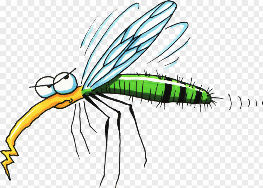 Mosquito Clip Art Openclipart Free Content Vector Graphics PNG