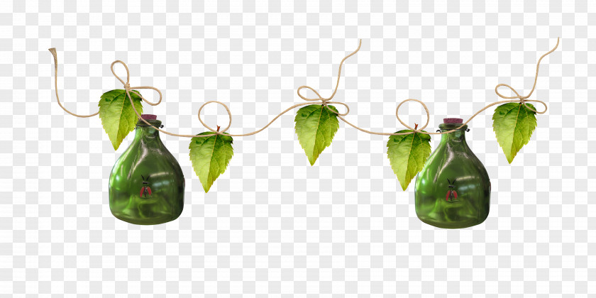 Rope Leaves The Bottle Leaf PNG