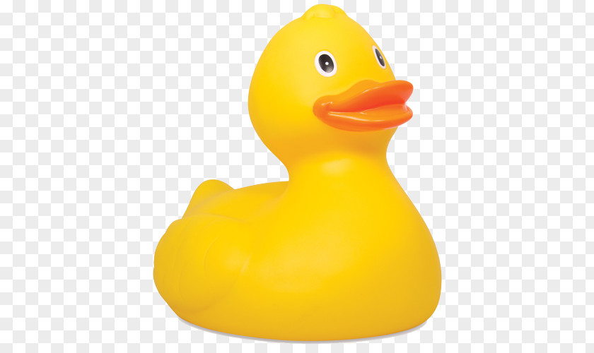 Rubber Duck Natural Toy Clip Art PNG
