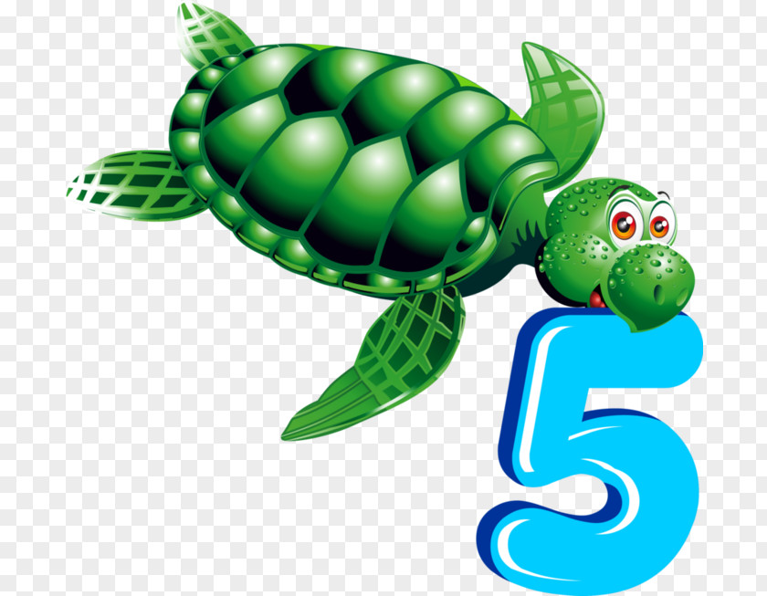 Sea Number Animal Numerical Digit Clip Art PNG