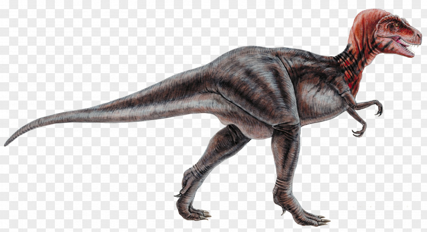 Cretaceous Dinosaur Museum Tyrannosaurus Park Reptile PNG