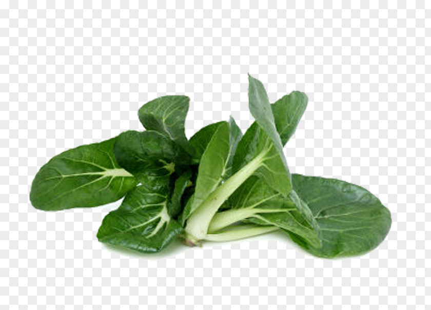 Green Cabbage Choy Sum Spring Greens Chard Napa Vegetable PNG
