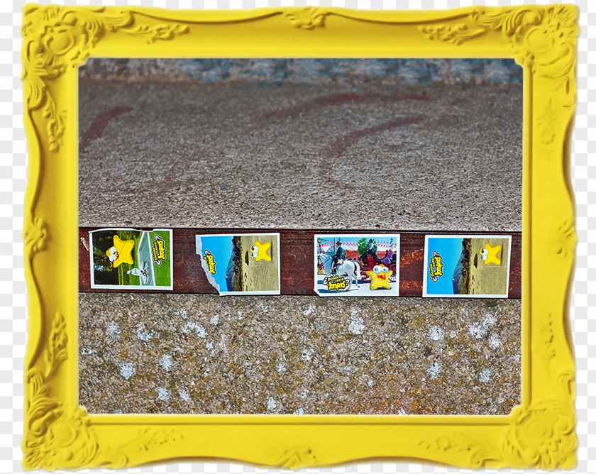 MMs Picture Frames Rectangle PNG