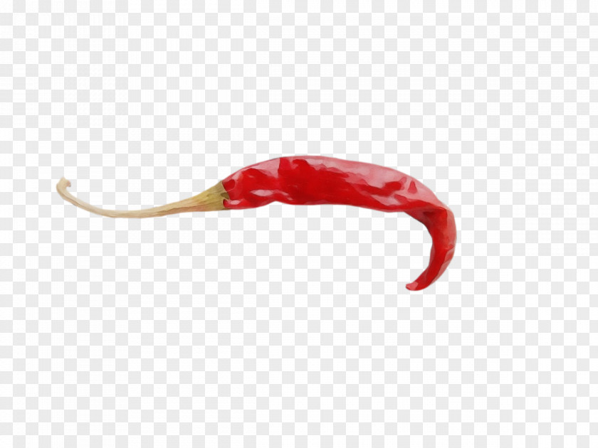 Peppers Peperoncino Cayenne Pepper Worm Bell PNG