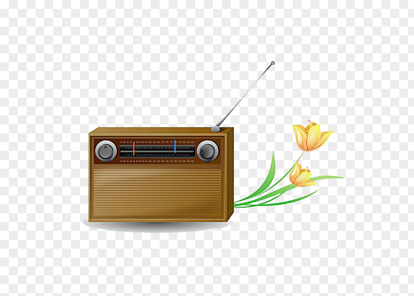 Radio And Flowers PNG