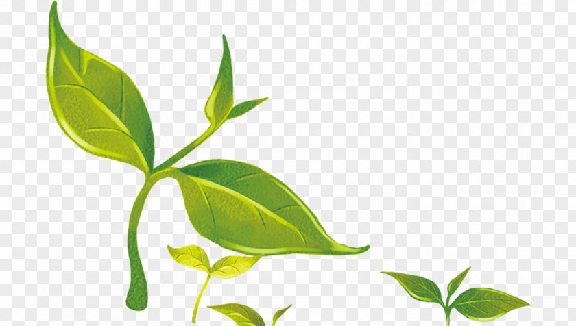 Green Leaves Creative Three-dimensional Effect Euclidean Vector PNG