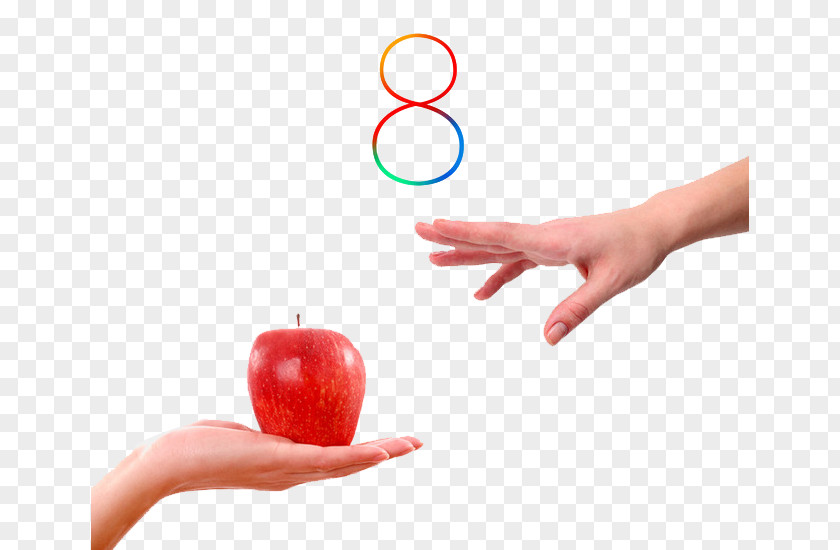 Holding Apple Handshake Finger Gesture PNG