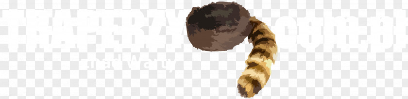 Raccoon Coonskin Cap Fur Hair Coloring PNG