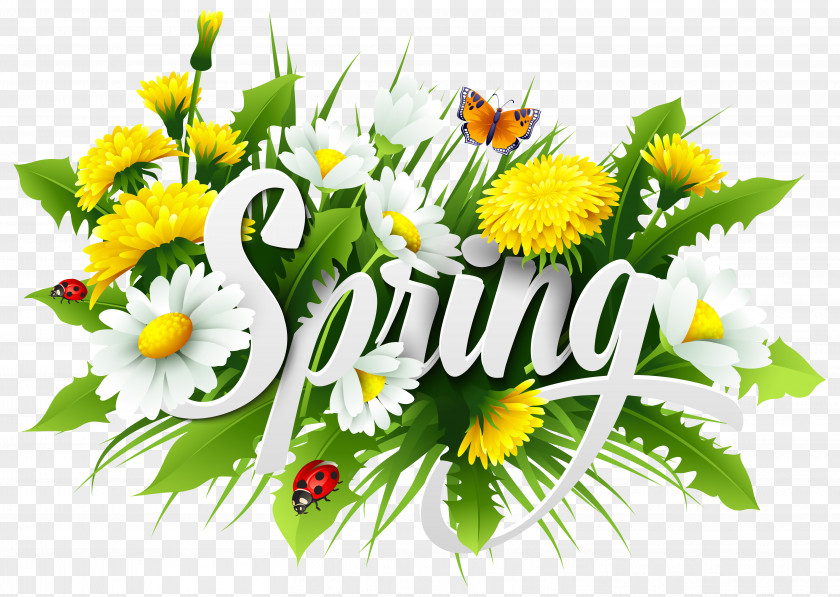 Spring Decorative Image Clipart Season Royalty-free Euclidean Vector PNG