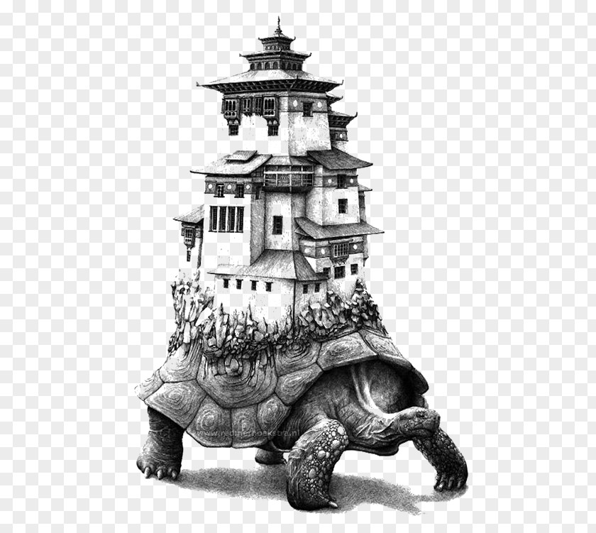 Turtle House Visual Arts Drawing Illustration PNG