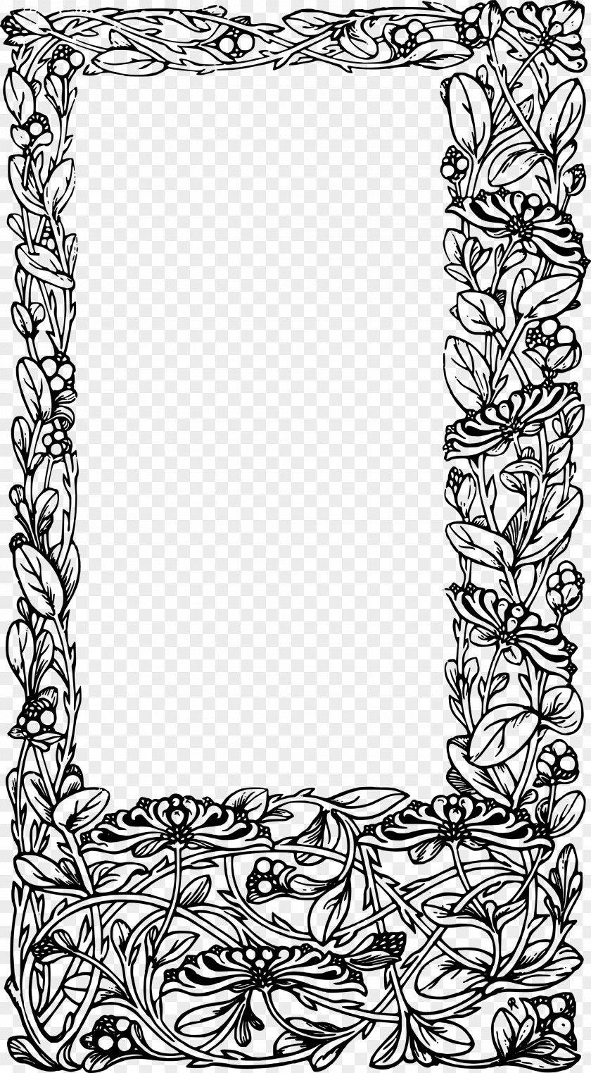 Vine Frame Picture Frames Drawing Clip Art PNG