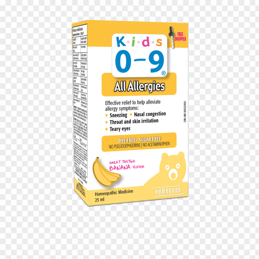 Allergy Cough Common Cold Pharyngitis Rhinorrhea PNG