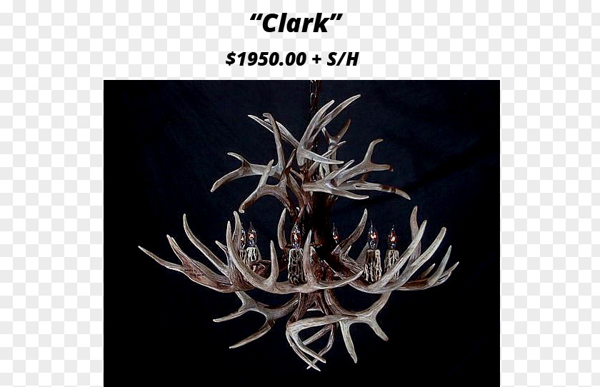 Antler White-tailed Deer Elk Chandelier PNG