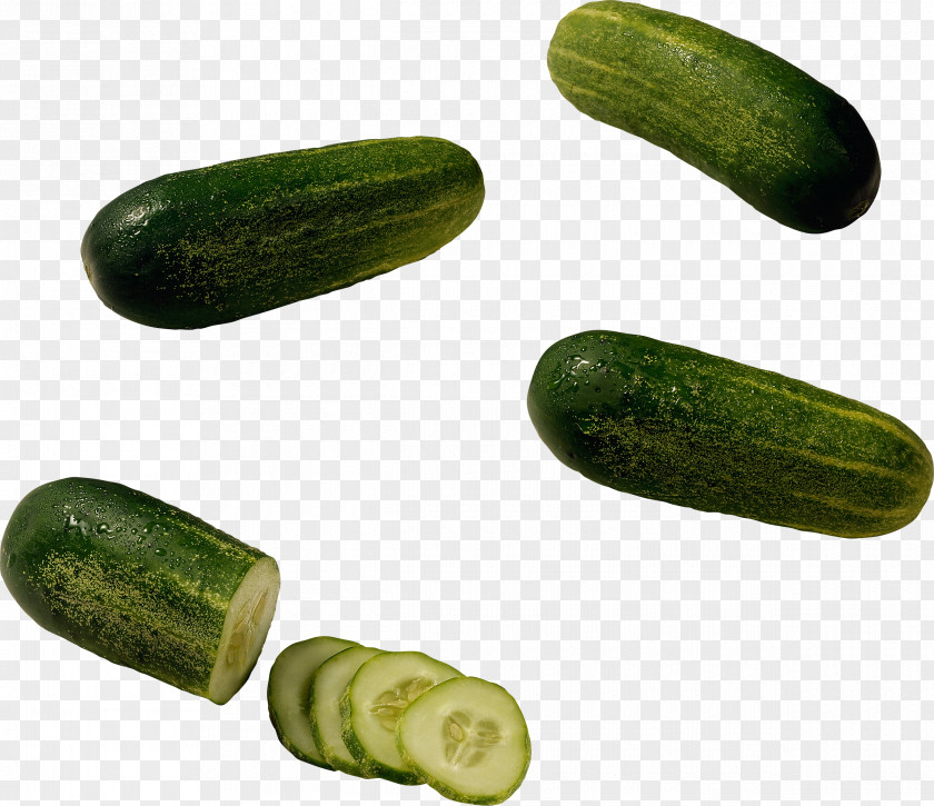 Cucumber Pickled Seed Fennel Vegetable PNG
