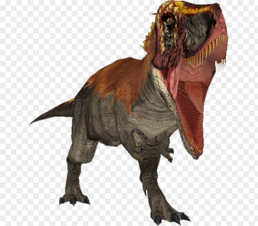 Tyrannosaurus Tarbosaurus Velociraptor Dinosaur Rajasaurus PNG
