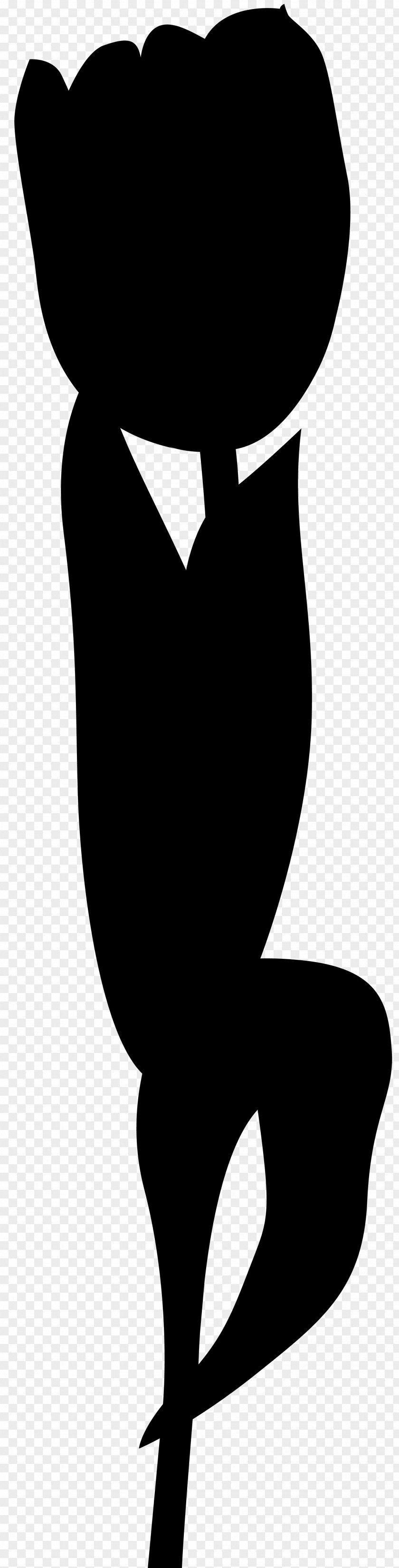 Clip Art Silhouette Beak PNG