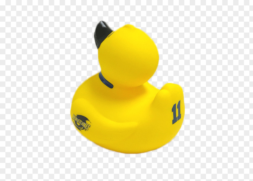 Duck Plastic Technology PNG