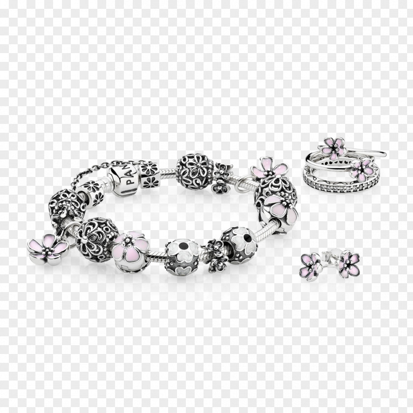 Jewellery Pandora Discounts And Allowances Charm Bracelet Coupon PNG