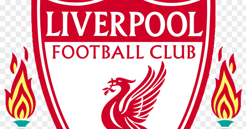 Minal Aidin Liverpool F.C. Premier League Dream Soccer Manchester City Newcastle United PNG