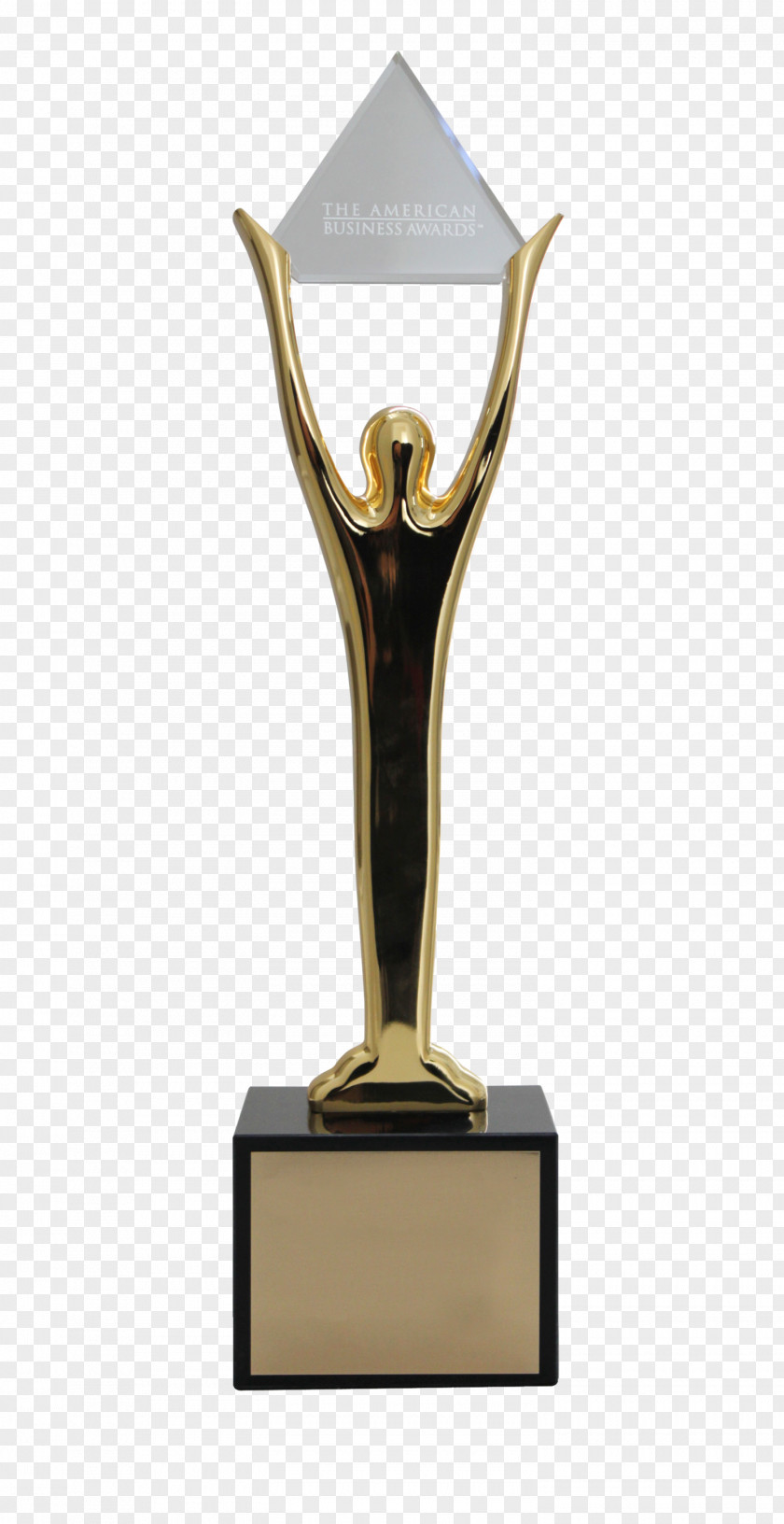 Trophy Stevie Awards Gold Expert PNG