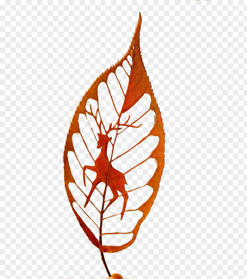 Creative Leaves And Deer Leaf Papercutting Illustration PNG