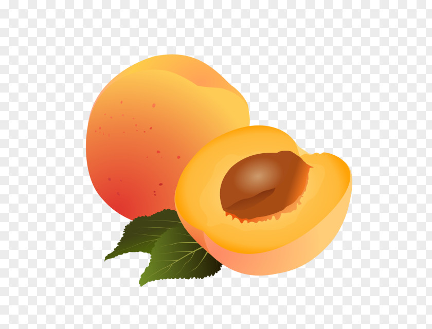 Fruit Ninja Apricot Drawing Clip Art Image PNG