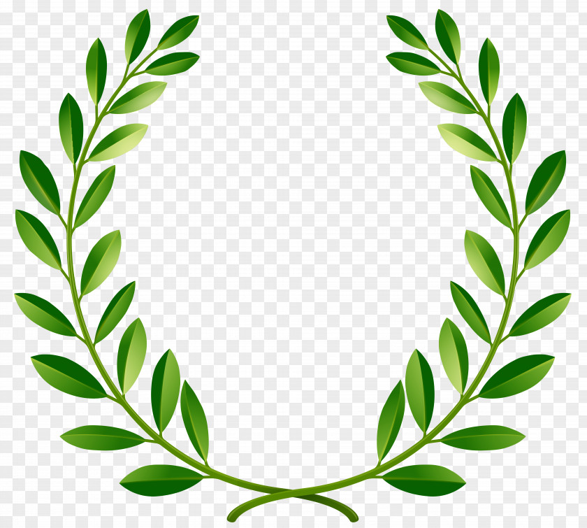 Green Vector Bay Laurel Wreath Clip Art PNG