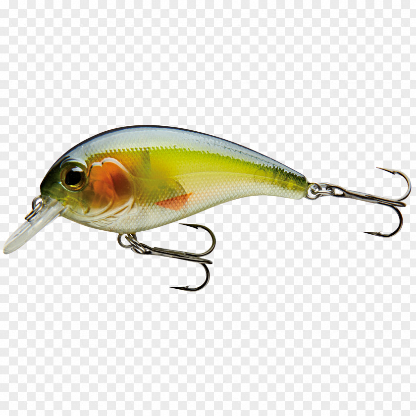 Insect Perch Spoon Lure Fish AC Power Plugs And Sockets PNG