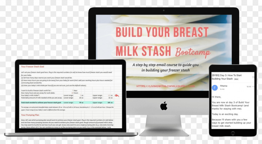 Non-profit Organisation Organization Breastfeeding Breast Milk Computer Software PNG organisation milk Software, flow clipart PNG