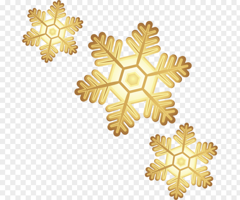 Snowflake Schema Clip Art PNG